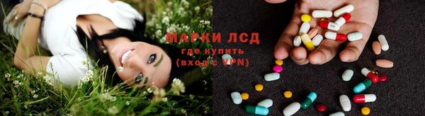 ПСИЛОЦИБИНОВЫЕ ГРИБЫ Алексеевка