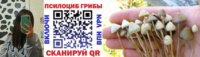 МЕГА сайт  Нефтегорск  Псилоцибиновые грибы Psilocybe  купить  цена 